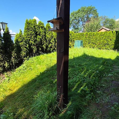 Ferienwohnungen Bergart Изельсберг Экстерьер фото